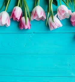 Spring home maintenance and insulation checkup