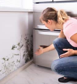 Home performance upgrades that reduce indoor humidity and improve comfort